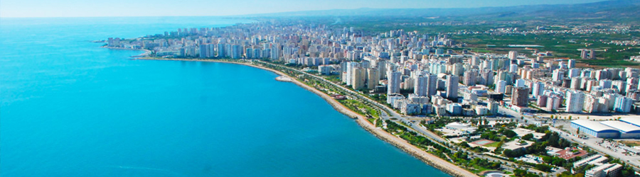 Lotus Mali Müşavirlik ve Danışmanlık