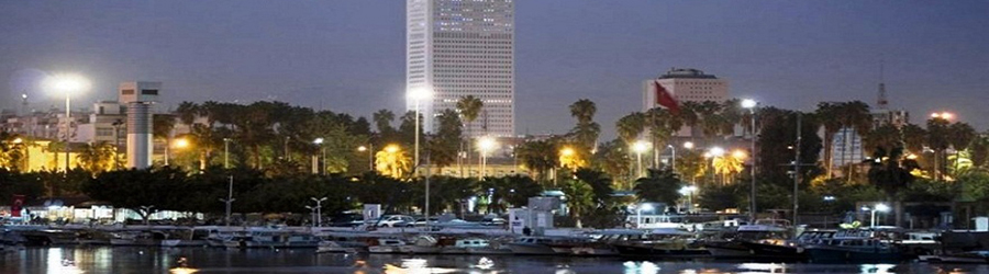 Lotus Mali Müşavirlik ve Danışmanlık