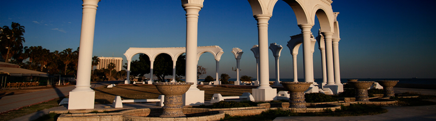 Lotus Mali Müşavirlik ve Danışmanlık